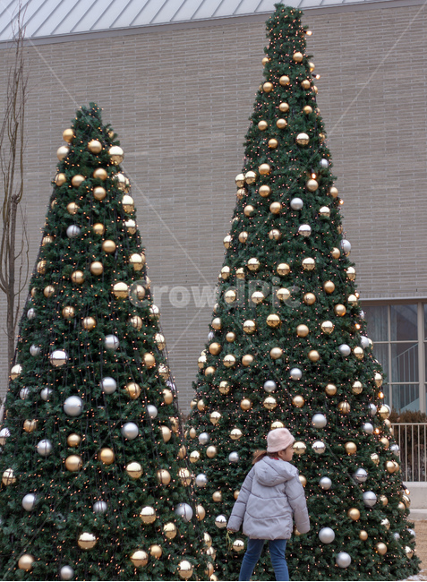 크리스마스,christmas,트리,크리스마스트리,christmastree,소녀,여아,딸,girl,female,daughter,tree,성탄절,모자,hat,kid,chidren,1person,겨울,계절,winter,season,사람,인물,인간,human,person,어린이,어린아이,child,children,kid,메리크리스마스,성탄절,merry christmas