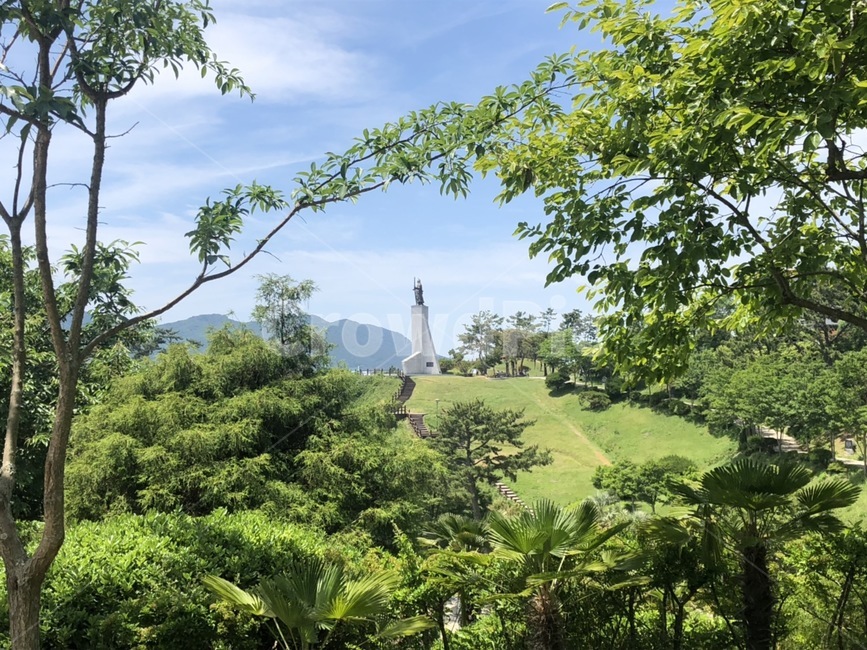 자연,나무,식물,하늘,풍경,자연,풍경,nature,landscape