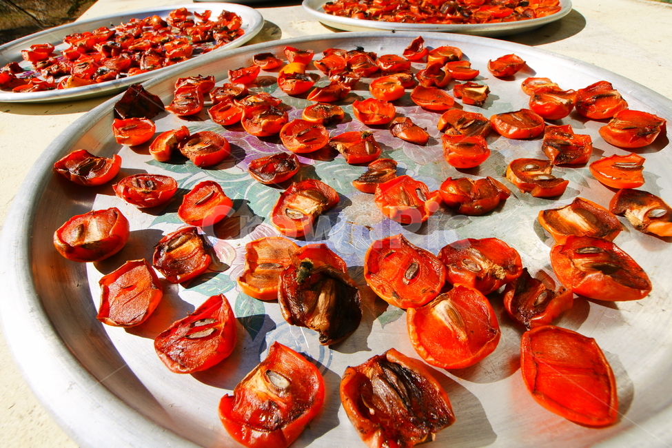 감,가을,사찰,간식,곶감,음식,식재료,요리,food,cook,meal,dishes,food reserves