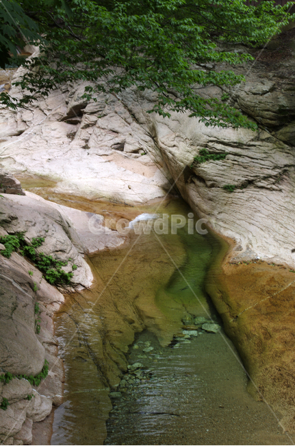 계곡,바위,풍경,나무,암석,자연,풍경,nature,landscape
