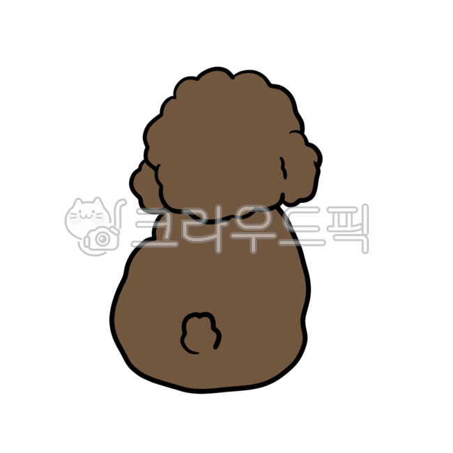 poodle,puppy,tail,brown puppy,back,Puppy back view,dog