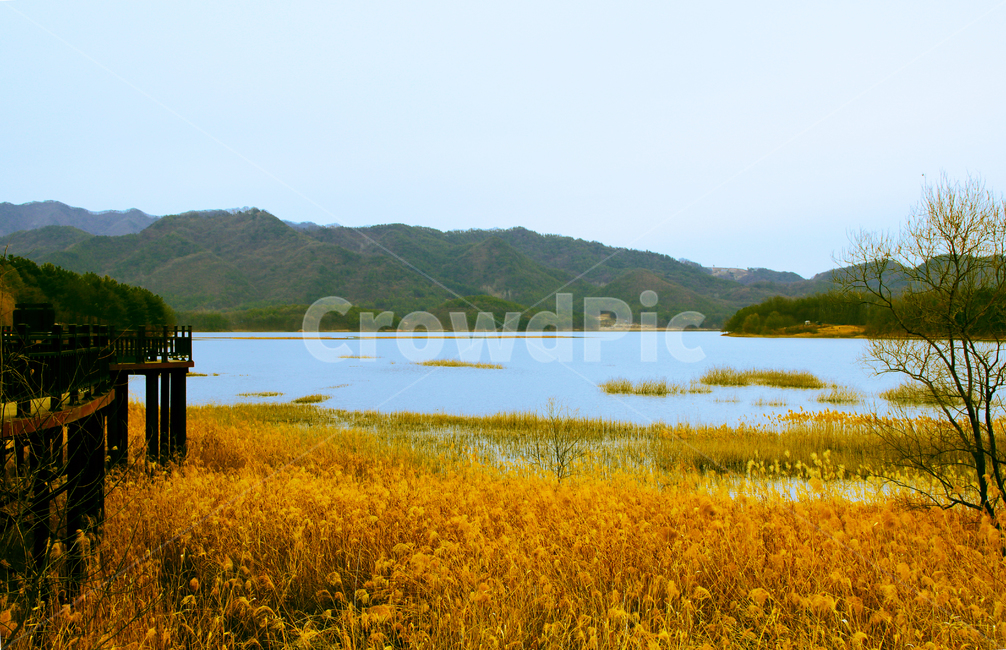 강,바다,호수,풍경,경치,바탕화면,가을,가을,계절,fall,autumn,season,자연,풍경,nature,landscape,water,물,land,땅,outdoors,옥외