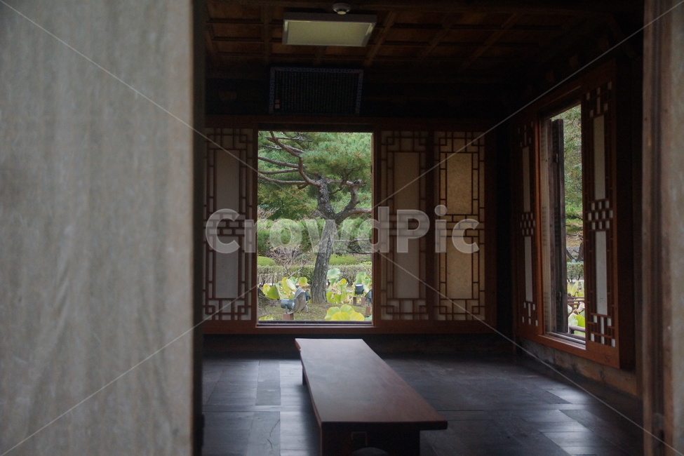 flooring,floor,바닥,wood,나무,정자,선교장,강릉,gangneung,sungyojang,창문,pavilion,gazebo,summerhouse,한국전통,한국문화,korean traditional,korean culture