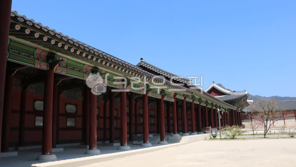 경복궁, 궁, 궁궐, 한옥, 궁전, 사진,이미지,일러스트,캘리그라피 - 장원작가
