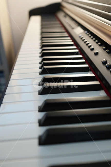 피아노,건반,전자피아노,piano,악기,흑과백,악기,음향기기,musical instrument,musical equipment