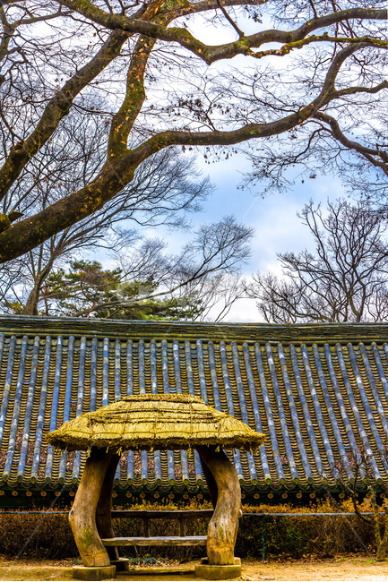 기와,무늬,선,정자,사찰,건축,전통,한국전통,한국문화,korean traditional,korean culture,종교,신앙,religion,belief,faith,건축물,건물외관,exterior,building,structure,architecture,construction
