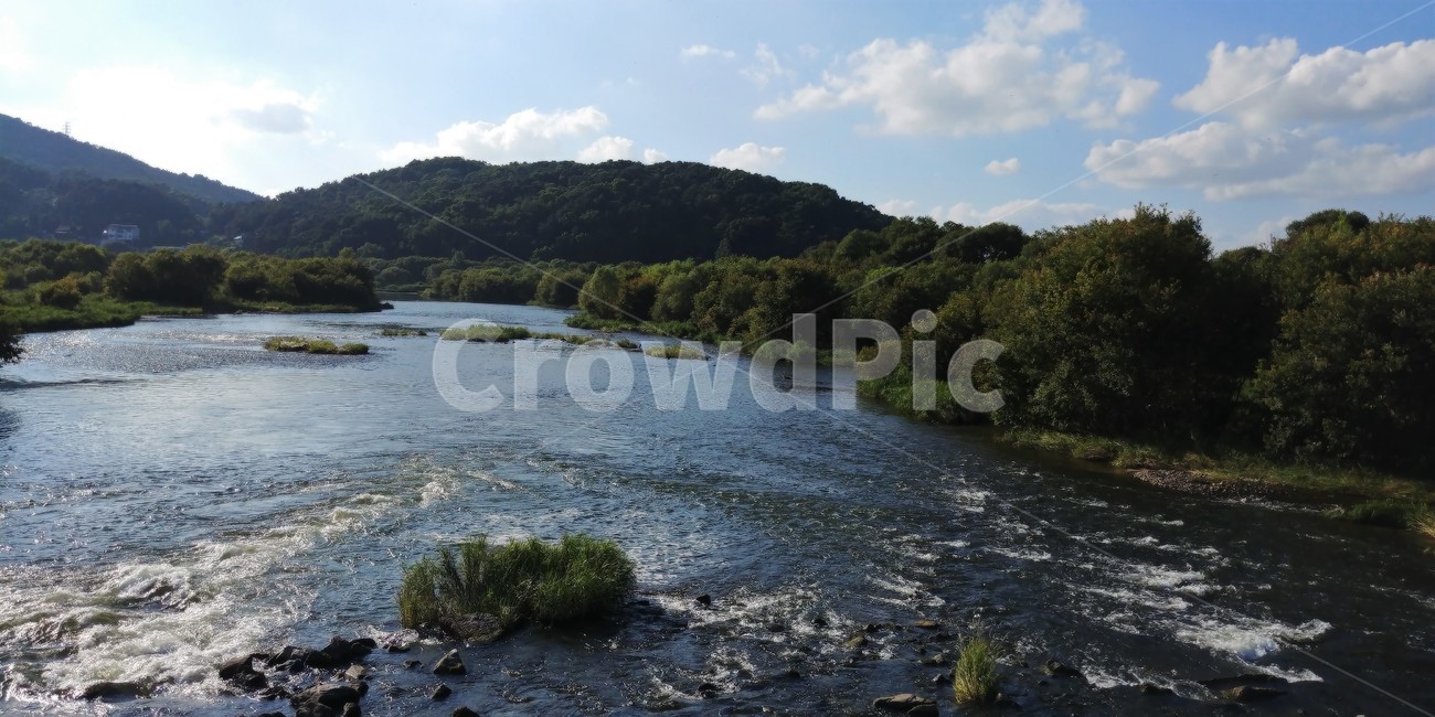 부강포구터,용당이,부강,세종시,부강면,금강,자연,풍경,nature,landscape,한국자연풍경,한국자연경관,korea nature landscape,water,물,outdoors,옥외