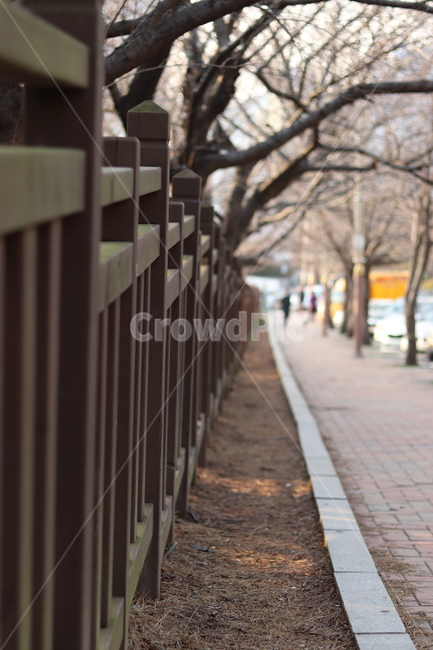 통로,path,보도,sidewalk,포장