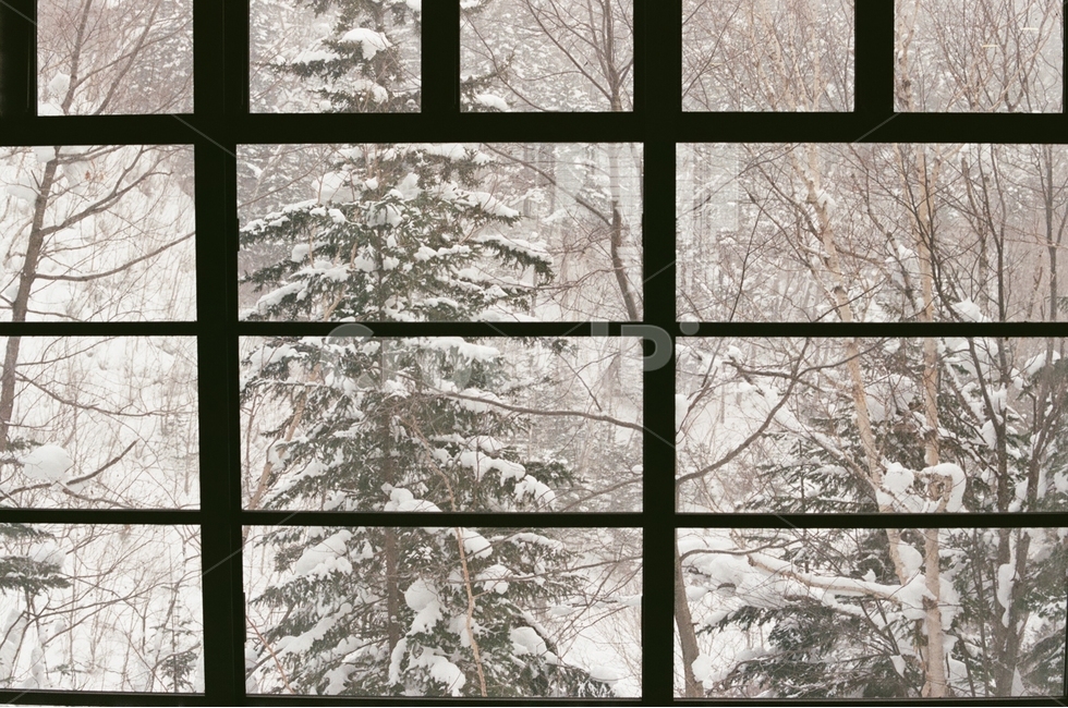 겨울,홋카이도,비에이,눈의왕국,필름사진,감성사진,겨울,계절,winter,season,감성,sensible,feeling,인테리어,실내디자인,interior design