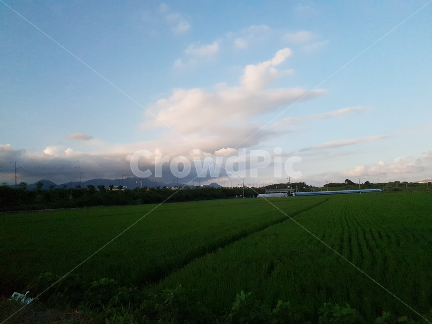 outdoors,옥외,field,들,grassland,nature,자연,countryside,풍경,저녁,구름,하늘,sky,들판,cloud