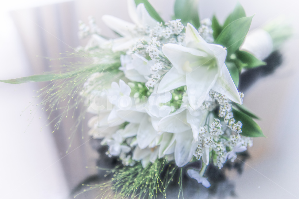 꽃,백합,부케,결혼,신부,꽃,flower,결혼,혼례,웨딩,wedding,marriage,marry,기념일,축하,anniversary,congratulation,celebrate,celebration