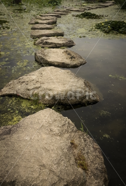 상림공원,여행,자연,지리산,징검다리,함양,돌,바위,냇물,연결,stone,rock,자연,풍경,nature,landscape