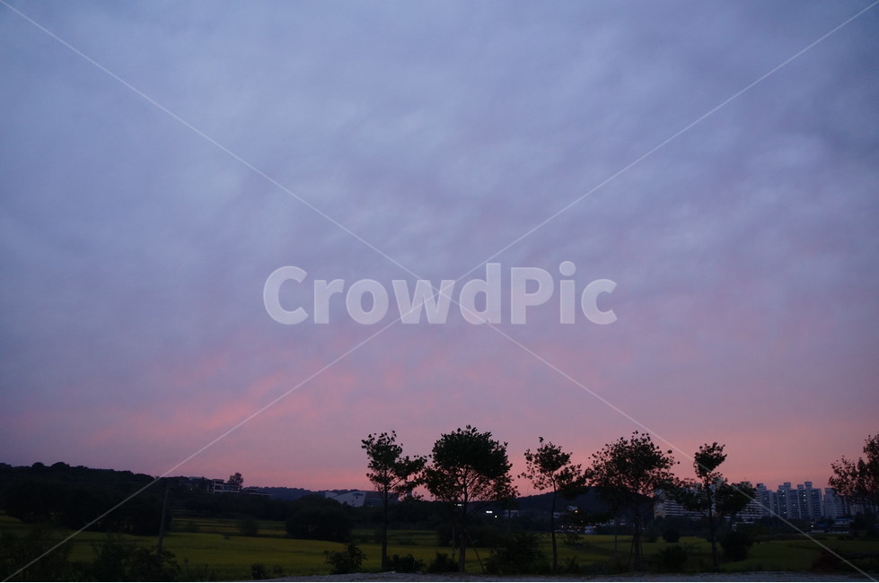 자연,nature,석양,하늘,sky,빨간색,붉은하늘,붉은노을,들판,outdoor,들