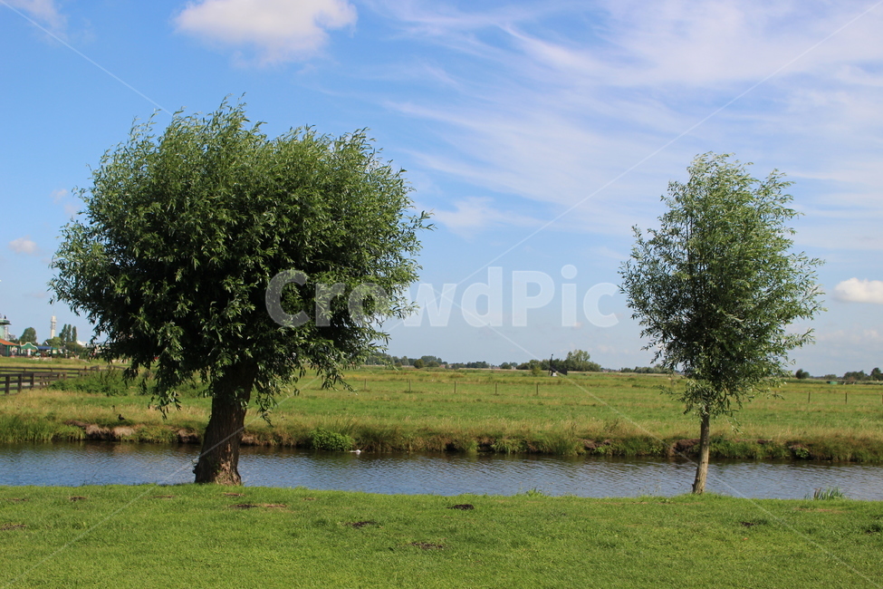 자연,나무,tree,land,식물,나라,자연,풍경,nature,landscape