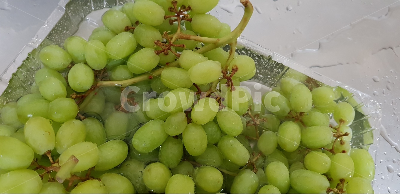 청포도,과일,신선,싱크대,포도,음식,식재료,요리,food,cook,meal,dishes,food reserves,과일,열매,fruit