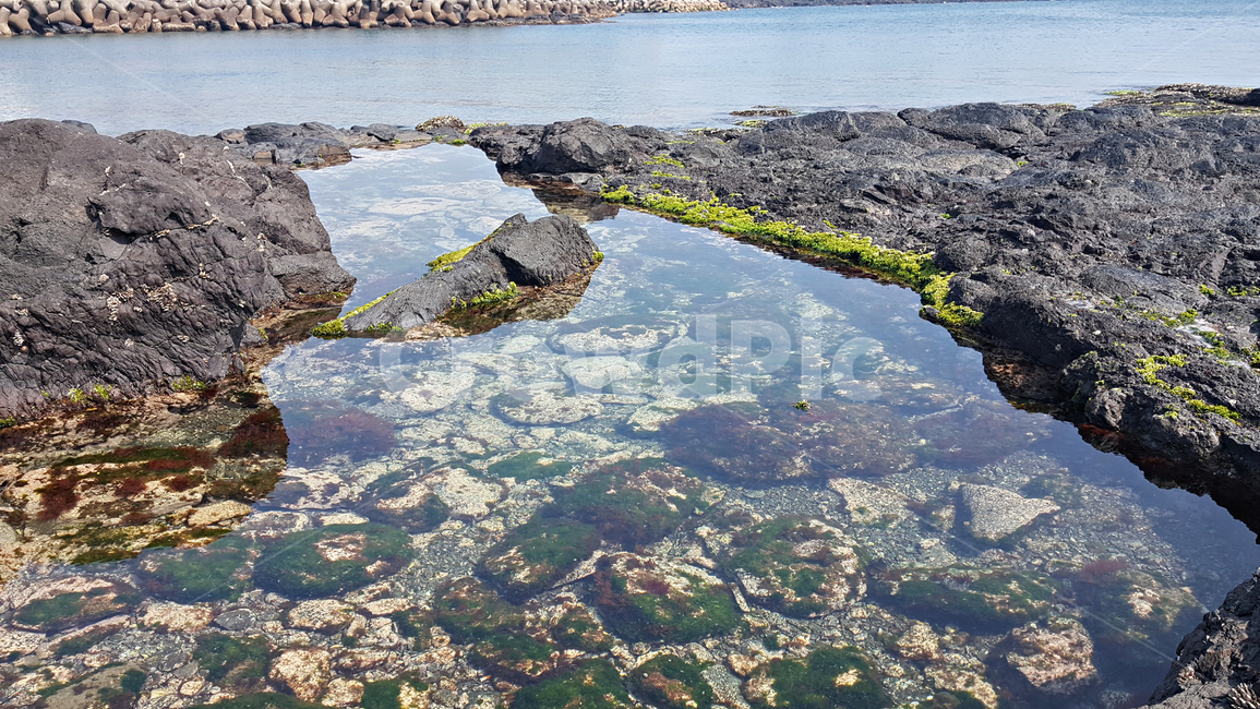 바다,해안,sea,ocean,대양,자연