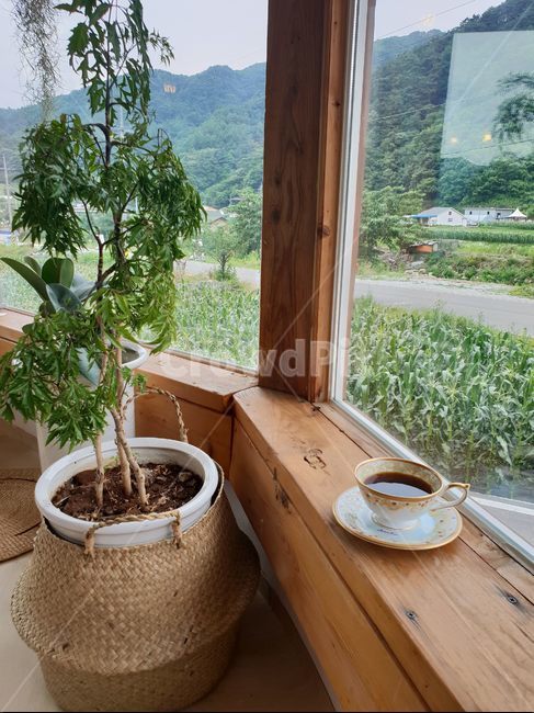 커피,coffee,한옥,시골,한옥카페,자연,맑은날,감성,따뜻함