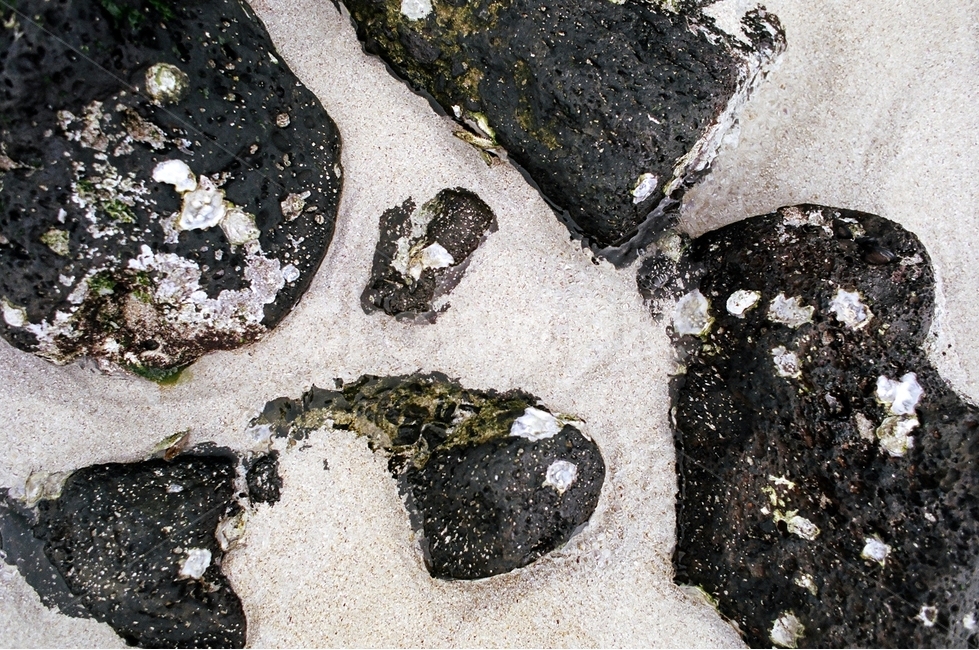 바다,해변,모래사장,돌,조개,sea,beach,sand,stone,해변,바다,beach,sea