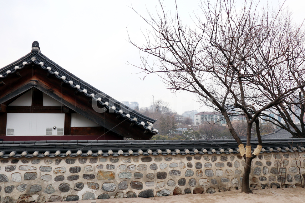 전통,한옥,한국,건축,korea,한옥마을,한국전통,한국문화,korean traditional,korean culture,식물,자연,plants,nature,나무,trees,wood,건축물,건물외관,exterior,building,structure,architecture,construction