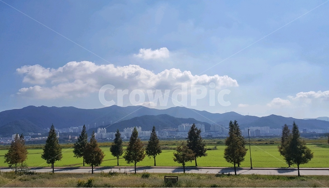 구름,나무,길,여유,봄,맑음,따스함,초록,자연,자연,풍경,nature,landscape,grass,잔디,plant,식물,tree,fir,전나무