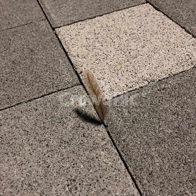 외로움,고난,역경,쓸쓸함,슬픔