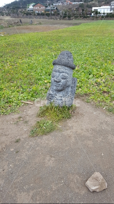 제주도,꽃,나무,겨울,돌하르방,제주도,jeju,jeju island,조각상,동상,석상,조형물,statue,bronze statue,stone statue,ground,바닥,dirt road,흙길,gravel,자갈,road,도로