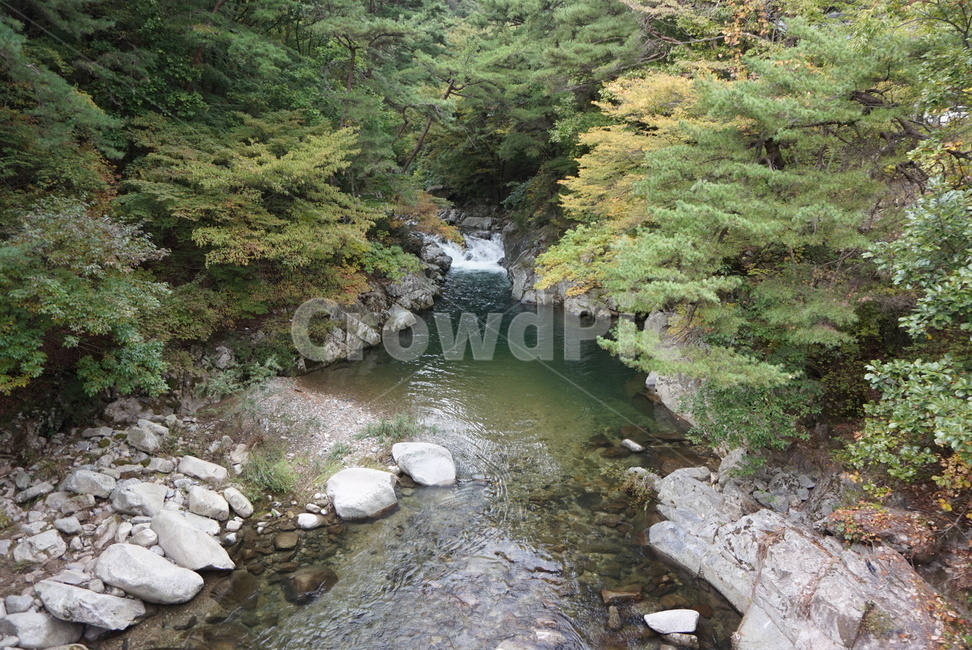 계곡,여름,초록색,water,물,nature,자연,outdoors