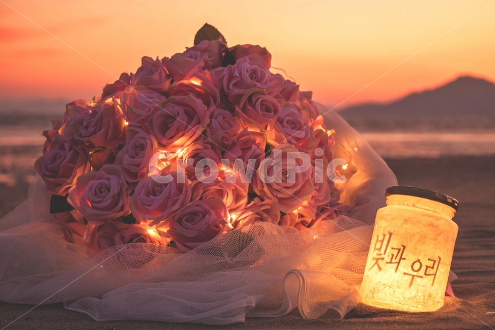 꽃다발,꽃,장미,배경,조화,꽃,flower,기념일,축하,anniversary,congratulation,celebrate,celebration,감성,sensible,feeling