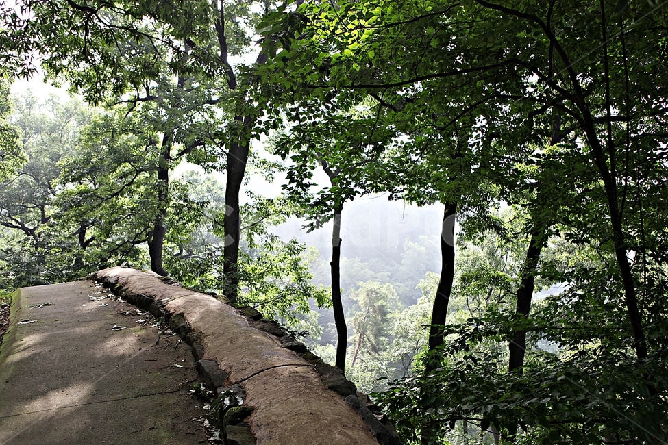 공주산성,산성,성,성곽,길,둘레길,숲,숲길,안개,담,돌담,여름,풍경,흙담,나무,식물,유네스코등제