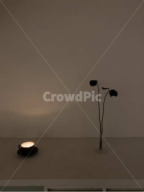 꽃,flower,초,양초,candle,촛불,장미,장미꽃,카페