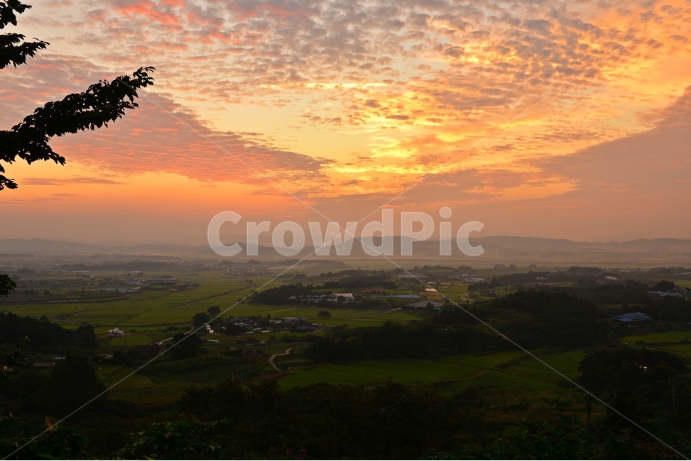 nature,자연,scenery,풍경,outdoors,옥외,landscape,경치,sunlight,햇빛,flare,플레어,light,빛,함평,밀재,밀재일출,아침,해돋이,여명