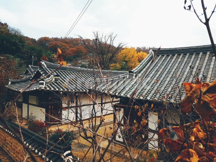 한국적,한국문화,서당,낙엽,전주,문화재,전통,전주한옥,전주향교,감성,분위기,culture,문화,traditional,향교,한국랜드마크,랜드마크,korea,가을,koreaculture,koreatraditional,건물외관,exterior,건물,한국전통,한국문화,korean traditional,korean culture,건축물,건물외관,exterior,building,structure,architecture,construction