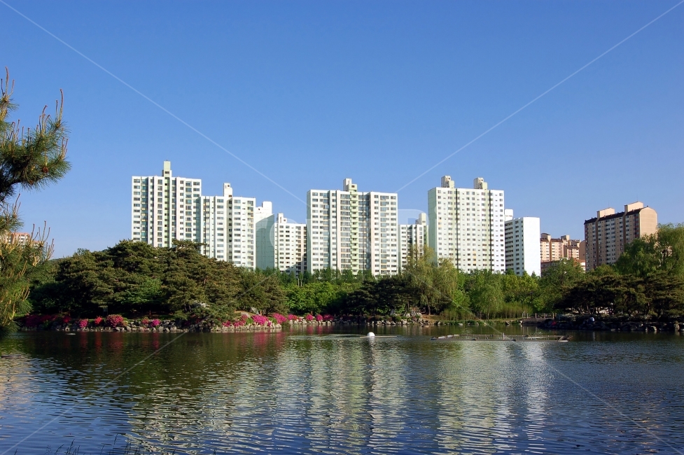 아파트,호수,공원,호수공원,숲,자연,도시,건물,빌딩,주택,집,환경,한국,apartment,lake,park,도시,풍경,city,landscape,한국도시풍경,한국도시경관,korea cityscape,building,high rise,고층 건물,시티,town,urban,어반,apartment building