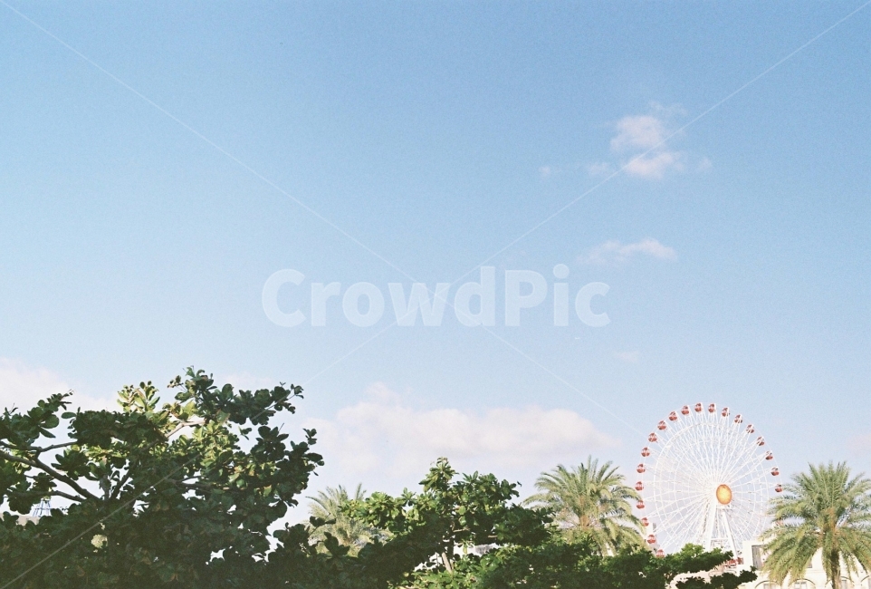필름사진,하늘,관람차,나무,여름,놀이공원,놀이동산,놀이터,amusement park,playground,감성,sensible,feeling