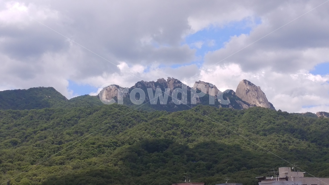 북한산,산중턱,나무,녹색,하늘