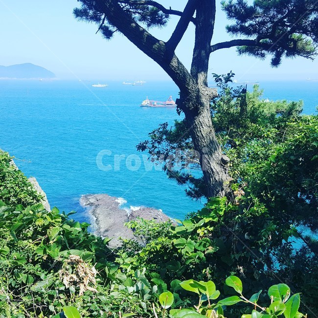 부산,송도,바다,옥외,outdoor,sea,나무,배,풍경,해양