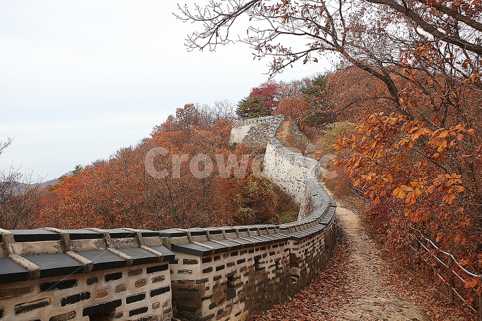 남한산성,성,성곽,단풍,낙엽,길,둘레길,숲,숲길,담,돌담,가을,자연,풍경,벽,울긋불긋,산성,식물,가을,계절,fall,autumn,season,한국전통,한국문화,korean traditional,korean culture,plant