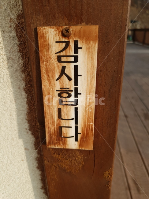 나무,갈색,한글,인사,고마움