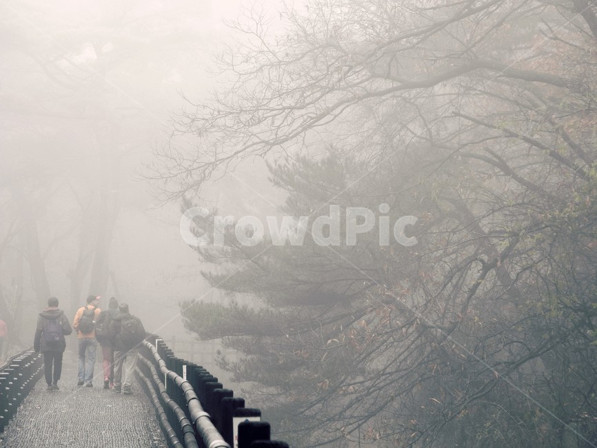산안개,가을산행,안개낀산,겨울산행,아침산행,nature,자연,fog,안개,가을,계절,fall,autumn,season
