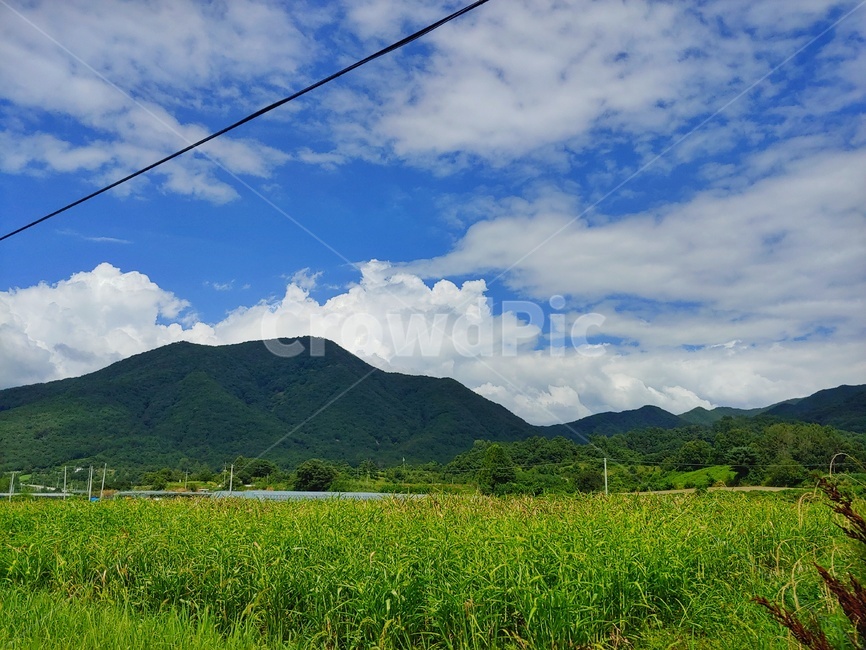 자연,배경,밭,구름,산,자연풍경,시골풍경,풍경,rural,landscape