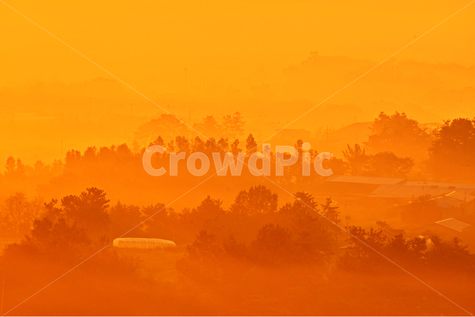 전남,함평,밀재,밀재일출,여명,아침,해돋이,sky,하늘,dawn,새벽,redsky,붉은하늘,fog,안개,plant,식물,nature,자연,outdoors,옥외,scenery,풍경,landscape,경치,mountain,산