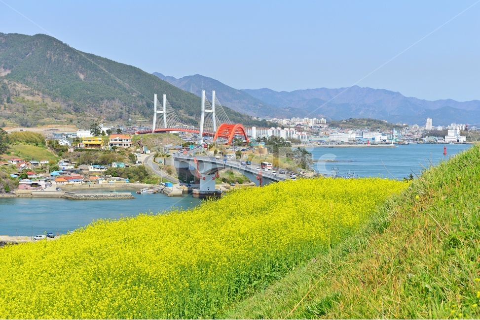 building,건물,경남,남해,창선,삼천포,창선대교,삼천포대교,유채밭,유채꽃,봄,봄꽃,계절,field,들,grassland,outdoors,옥외,nature,자연,meadow,목초지,arched,아치형,bridge,다리