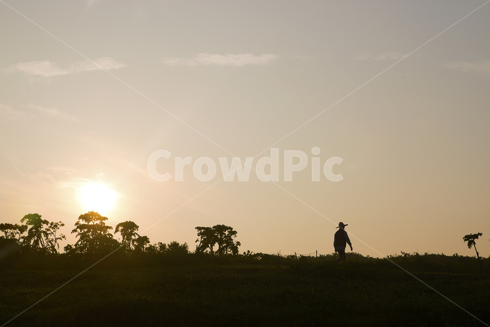 제주도,제주,하늘,구름,노을,실루엣,해,풍경,햇빛,빛,jejuisland,jeju,sky,cloud,sunset,silhouette,sun,landscape,sunlight,light
