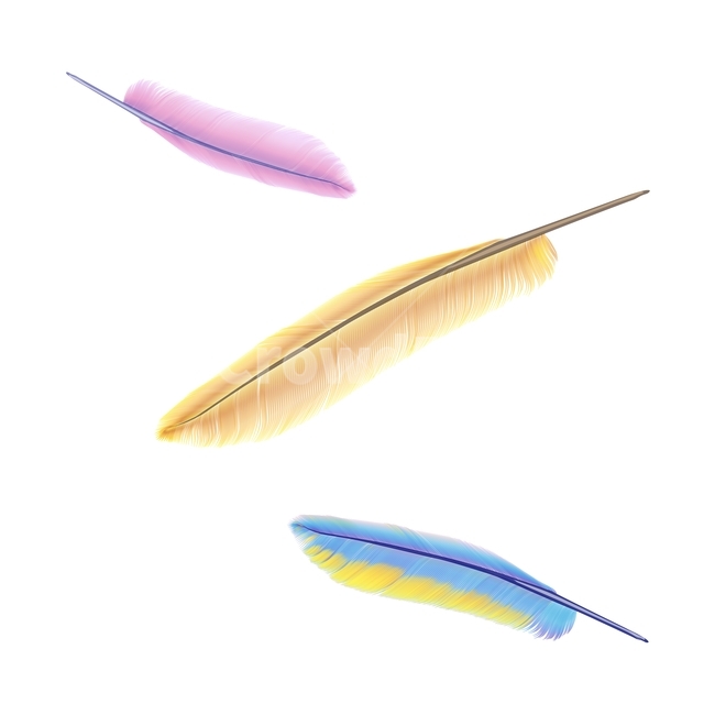 깃털,새털,가벼움,일러스트레이션,그래픽,feather,동물털,birdfeathers,디자인소스,illustration,graphic,디자인자료,칼라풀,colorful,object,오브젝트,사물,hair,털,그래픽,일러스트레이션,graphic,illustration