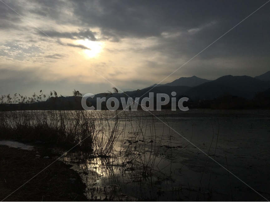 식물,자연풍경,하늘,노을,나무,산,강,맑음,풍경,구름,자연,풍경,nature,landscape,한국자연풍경,한국자연경관,korea nature landscape,outdoors,옥외,land,땅