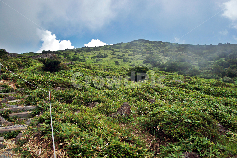 한라산,제주도,영산,어리목코스,만세동산,자연,구름,운무,탐방로