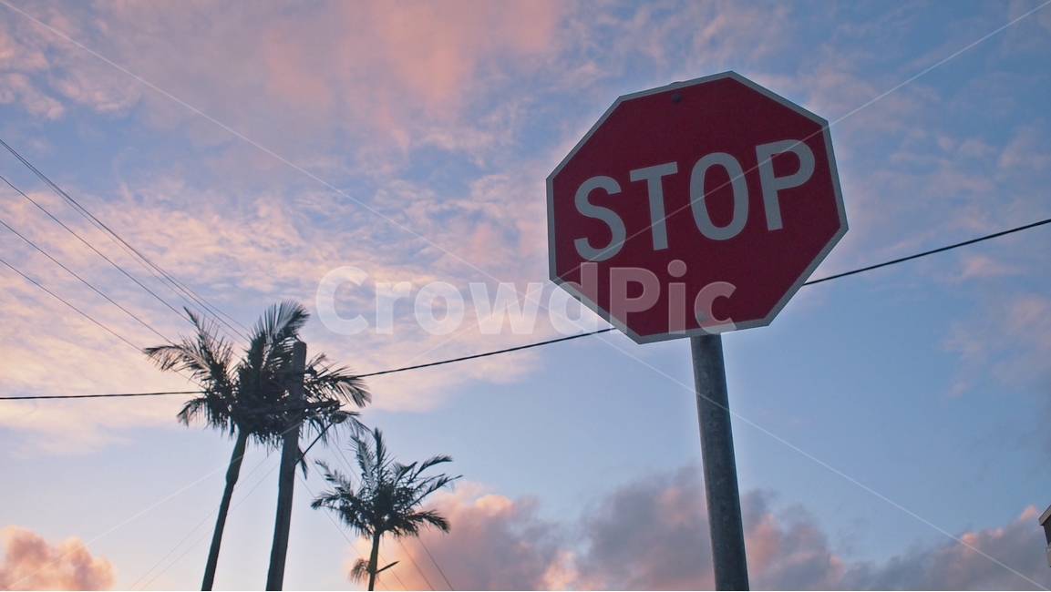 도로표지판,교툥,정지,stop,roadsign,traffic,stopsign,알림,빨간표지판,색깔,색상,색채,색감,color sense,color sensitivity,feeling of color,교통,교통수단,traffic,transportation