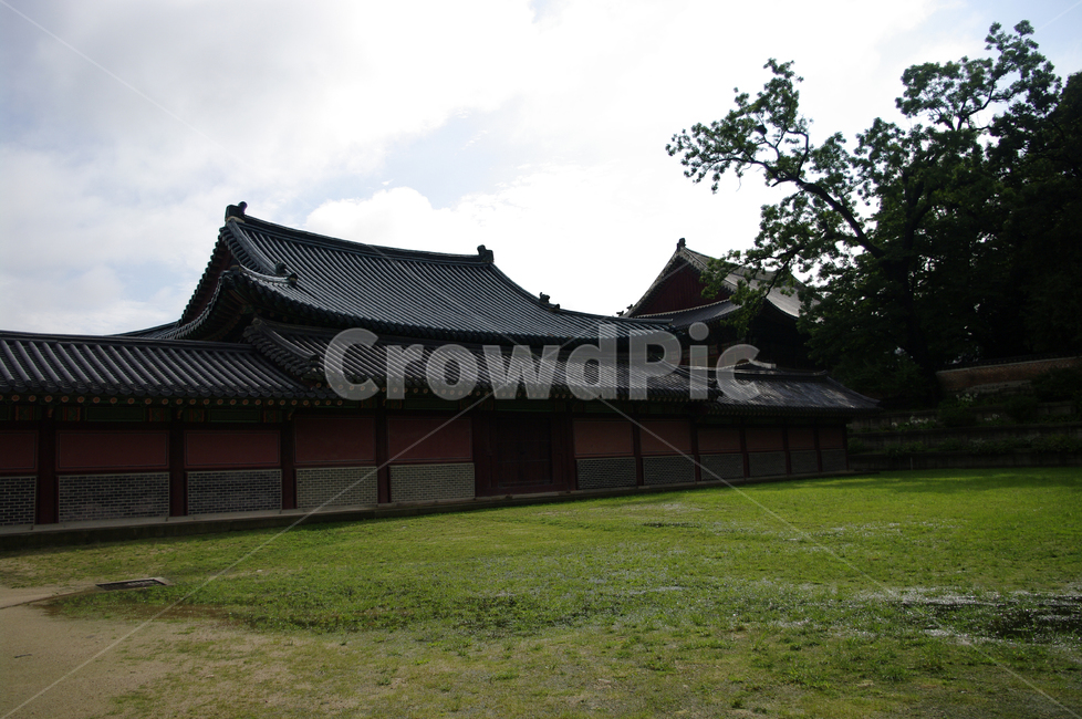 창덕궁,고궁,한옥,전통가옥,기와지붕,건축,traditional,한국전통,한국문화,korean traditional,korean culture,랜드마크,landmark,tourist attraction,한국랜드마크,한국관광지,한국명소,korea landmark,korea tourist attraction,건축물,건물외관,exterior,building,structure,architecture,construction