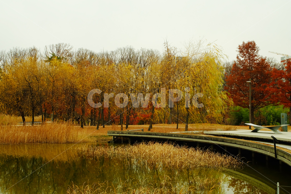 가을,자연,풍경,공원,흐린날,북서울꿈의숲,fall,autume,가을,계절,fall,autumn,season,자연,풍경,nature,landscape,plant,식물,grass,잔디,water,물,outdoors,옥외
