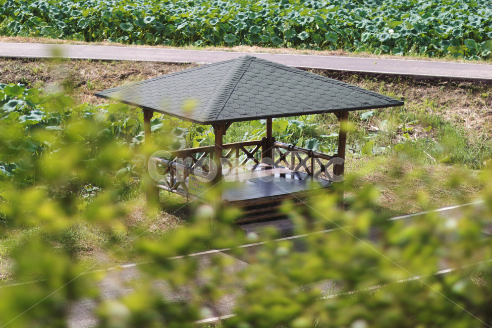 patio,안마당,porch,현관,outdoors,옥외,자연,nature,정자,산책,휴식